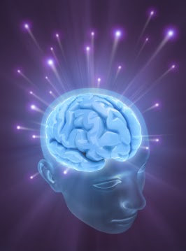 Gamma brain waves are the fastest brain waves.